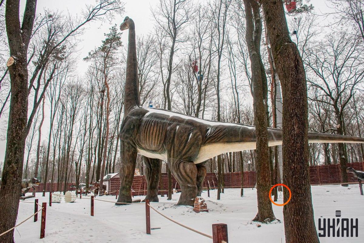 Koira oli lähellä kuvan vasenta alakulmaa / Moje kollaasi