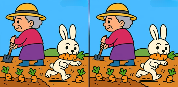 palapeli